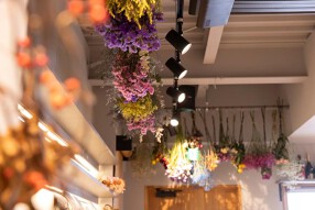 カフェニトロの画像