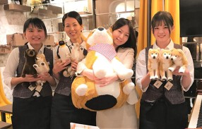Café ４丁目の９階の画像
