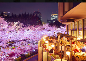 ナプレ 東京ミッドタウン店の画像