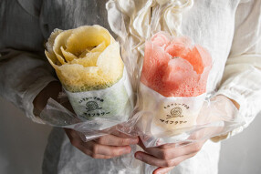 マイフラワーの画像