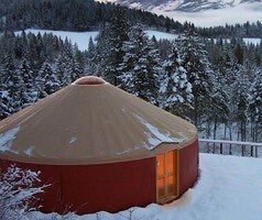 スノーボールシャレーの画像