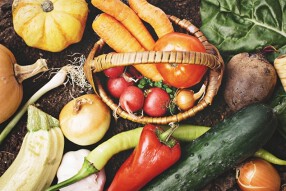 よこすか浦賀病院の画像