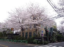 イタリア料理　La Ventura（ラ・ベントゥーラ）の画像
