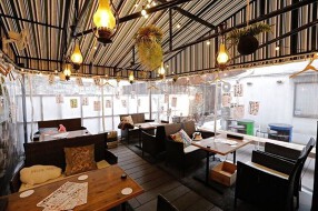 うらきんぎょの画像