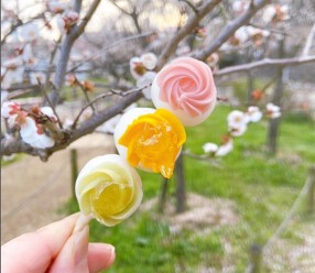 フラワーおはぎ専門店　𝑶𝒉! 𝒉𝒖𝒈𝒈𝒚!!　神戸マルイ店の画像