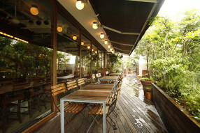 daylight kitchenの画像