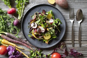 La Mensa Jasminの画像