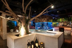 Borabora大宮店の画像