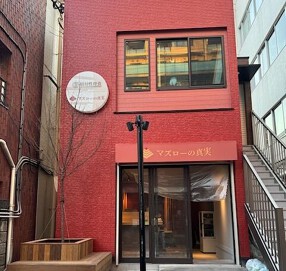 相対性理食の画像