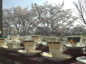 さくらざか庵豊田本田店の画像