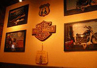 聖橋 のぶちゃんの画像