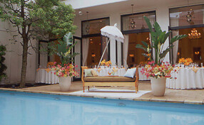 アーフェリーク白金の画像