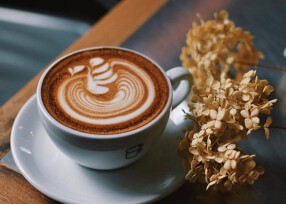 THE CUPS FUSHIMIの画像