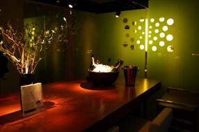 シャンパンバーチクワの画像