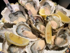 シーリアの画像