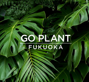 GOPLANTCAFEの画像