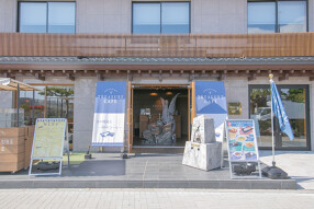 ENOSHIMA TREASURE CAFEの画像