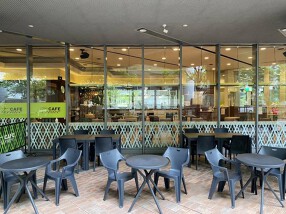 Cafe Terraceの画像