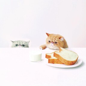 HEART BREAD ANTIQUE　ピエリ守山店の画像