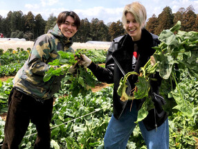 ギンザ オリーバルの画像