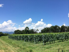 ワインバー&ダイナー　フジマル食堂の画像