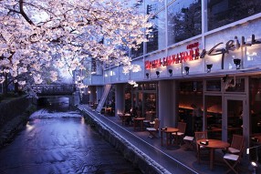 PIZZA SALVATORE CUOMO & GRILL 京都　の画像