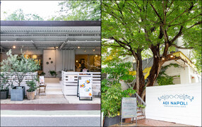  青いナポリ / AOI NAPOLI の画像