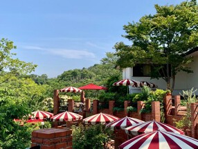 樹ガーデンの画像