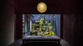 京都宇治茶　錦一葉の画像