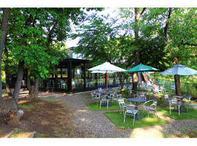 SAITAMA地産地消BUFFET［Market Terrace］川越市場の森 本店の画像