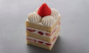 シヅカ洋菓子店 自然菓子研究所 銀座5丁目店の画像