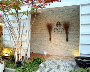 patis akiyamaの画像