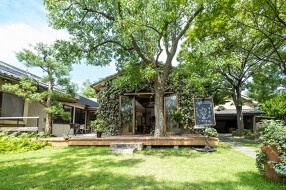 緑風舎カフェの画像