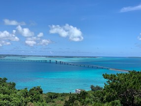 佐良浜ダイニングbyいちわの画像