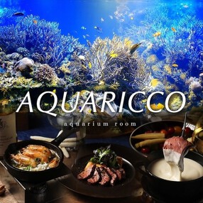 アクアリッコの画像