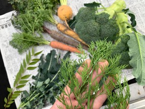 Daichi DAICHI IKEHATAの画像