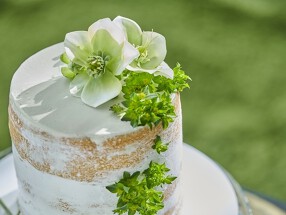 アクアデヴュー佐賀スィートテラス の画像