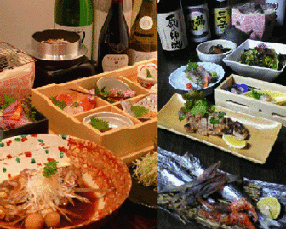 四季魚遊　鮮と干の画像