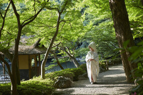 八芳園(和食部門)の画像