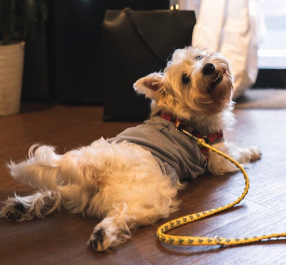 CAFE TANTONの画像