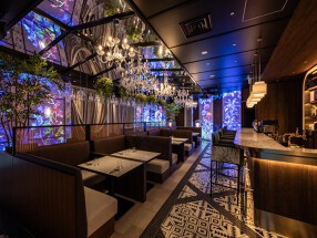 intellctuaryの画像