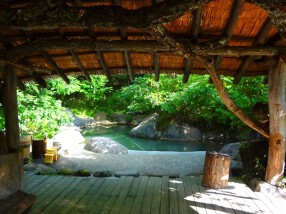 たてしなエグゼクティブハウス　八ヶ岳縄文天然温泉・尖石の湯の画像