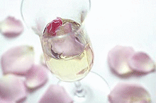 ガーデニアの画像