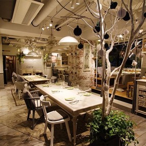 Santa Lucia（サンタルチア）の画像