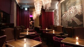 VT 〜Violet Tiger〜 恵比寿の画像