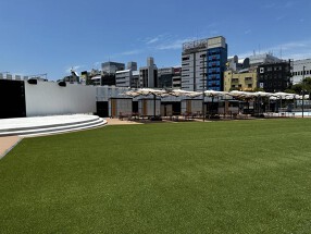 とまり木の画像