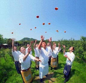 藁焼 みかんの画像