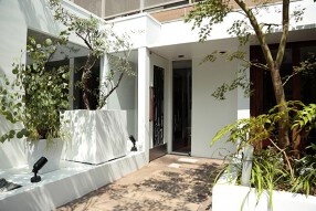 白金 シェ・トモ ナチュラル キュイジーヌの画像