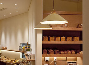 de tout Painduceの画像