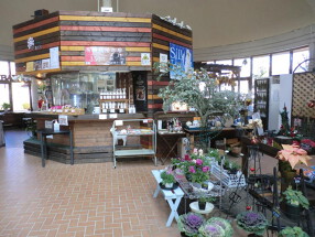 花カフェの画像